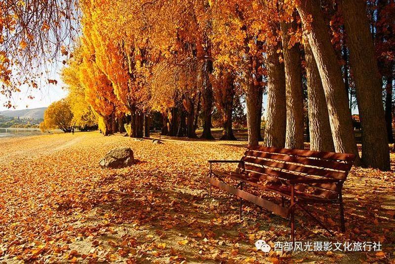 全民剧本大师内置菜单