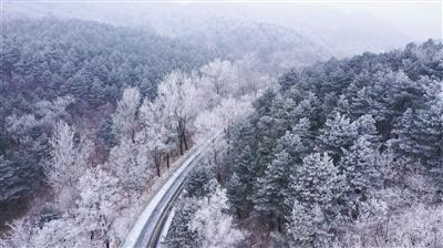 绝地求生坦克版2